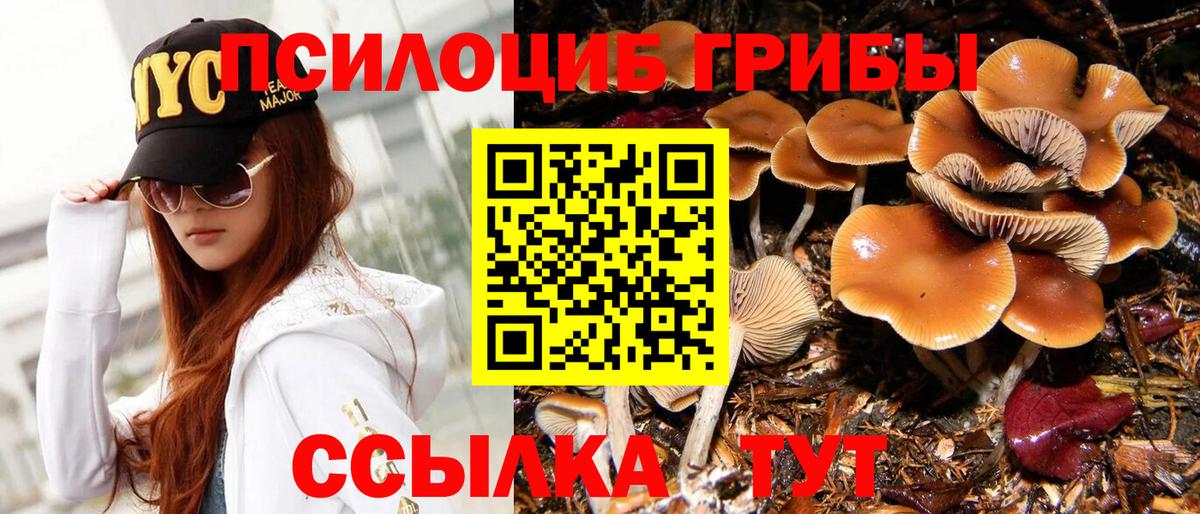 Галлюциногенные грибы мицелий Бор