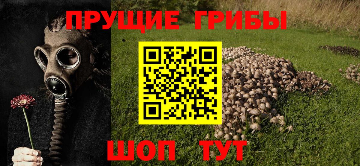 Бор  Галлюциногенные грибы GOLDEN TEACHER  Вход с VPN 
